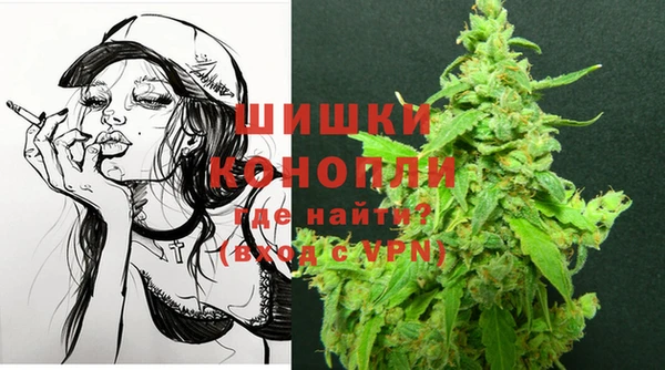 сатива Беломорск