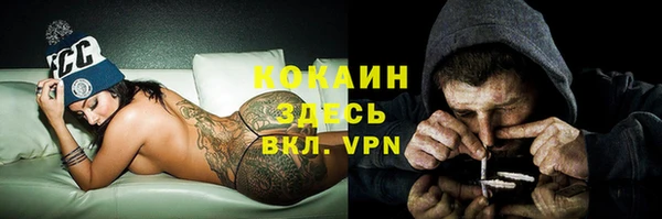 сатива Беломорск