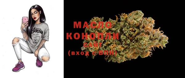 шишки Богородск