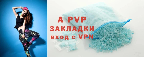 амф Белокуриха