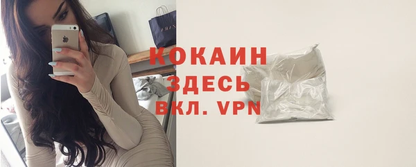шишки Богородск