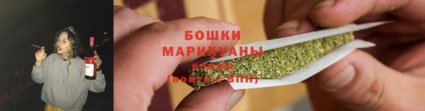 сатива Беломорск