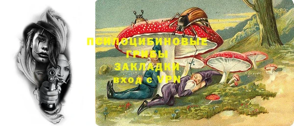 амф Белокуриха