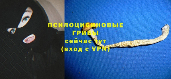 прущая мука Богданович