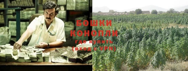 ECSTASY Богородицк