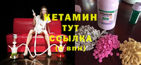 сатива Беломорск