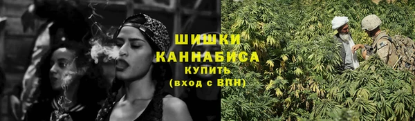 ECSTASY Богородицк