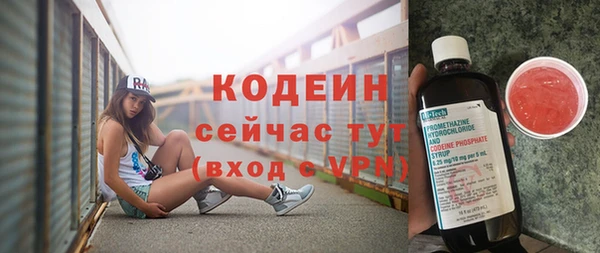 сатива Беломорск