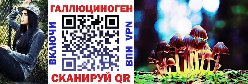 Псилоцибиновые грибы MAGIC MUSHROOMS  где купить наркотик  Краснознаменск 